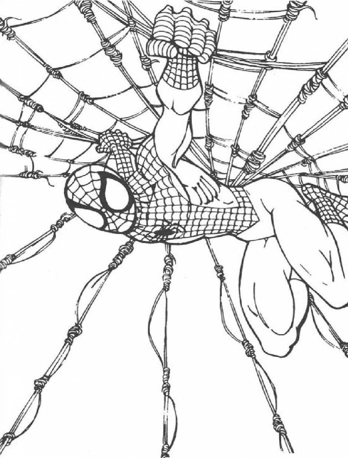 Человек паук на паутине разукрашка