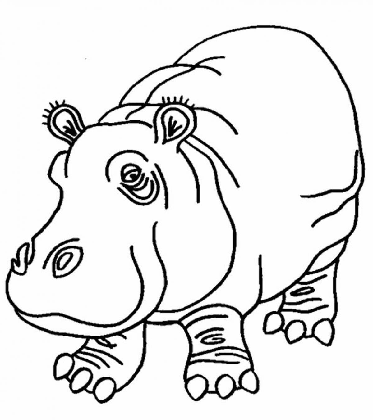 Adorable hippo coloring book for kids