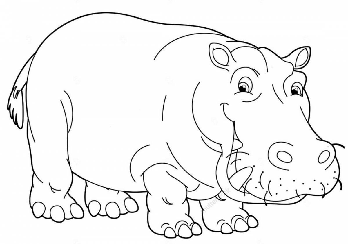 Cute hippo coloring for kids