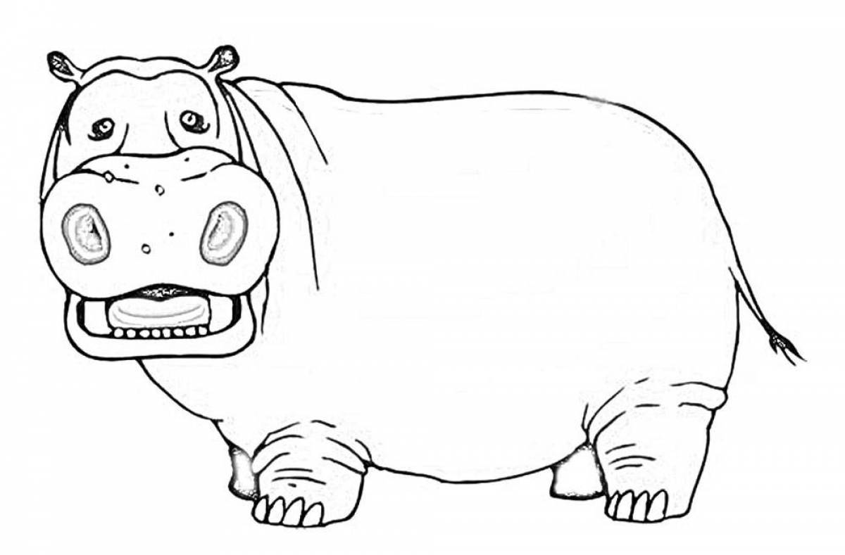 Fun coloring for kids hippopotamus