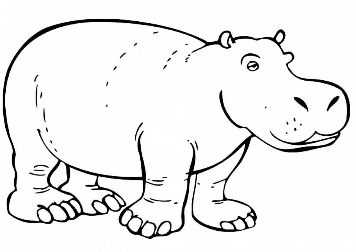Exciting hippo coloring book for kids
