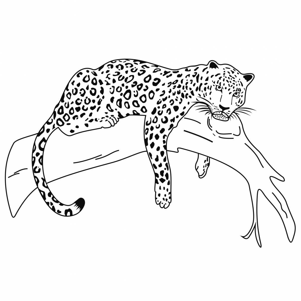 Раскраска величественный ягуар