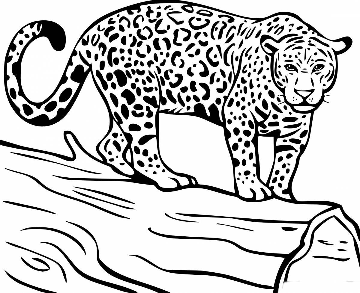 Coloring book shining jaguar