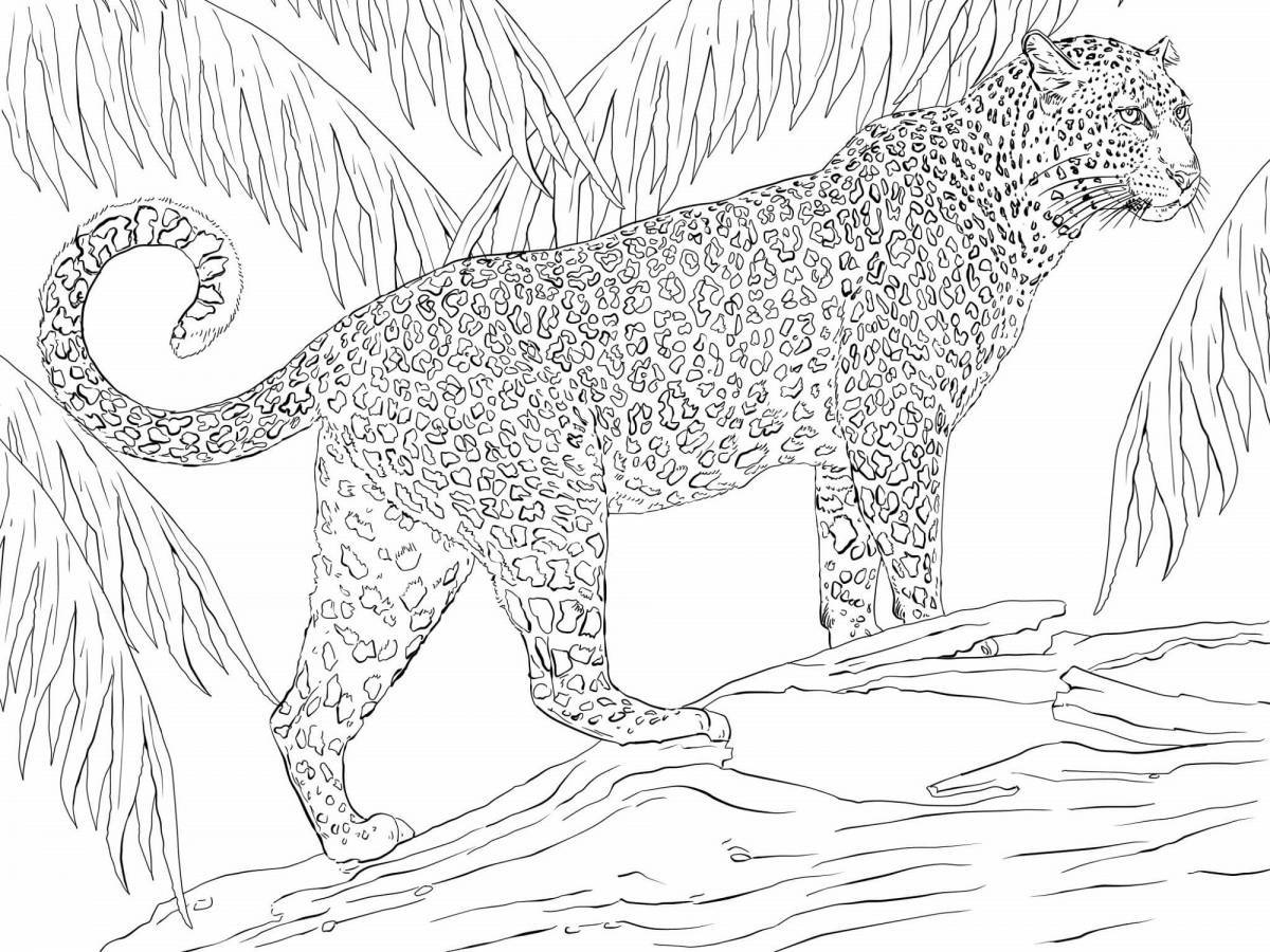 Изысканная раскраска ягуара
