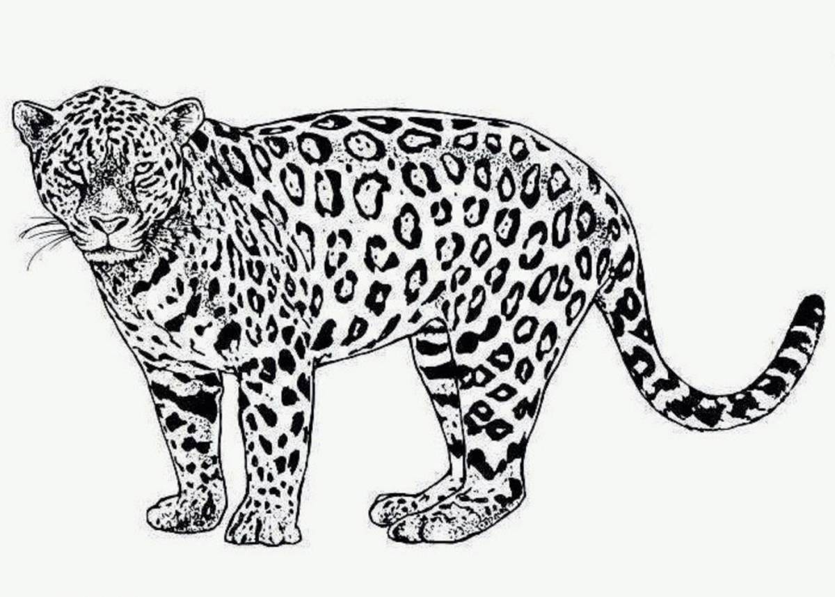 Потрясающая раскраска ягуар