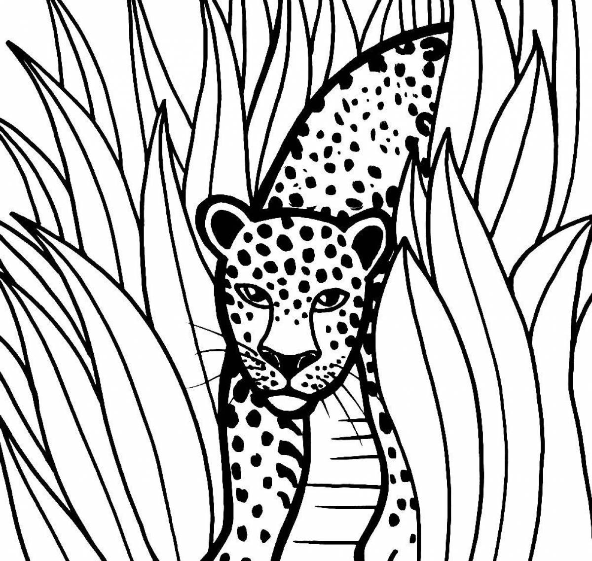 Impressive coloring jaguar