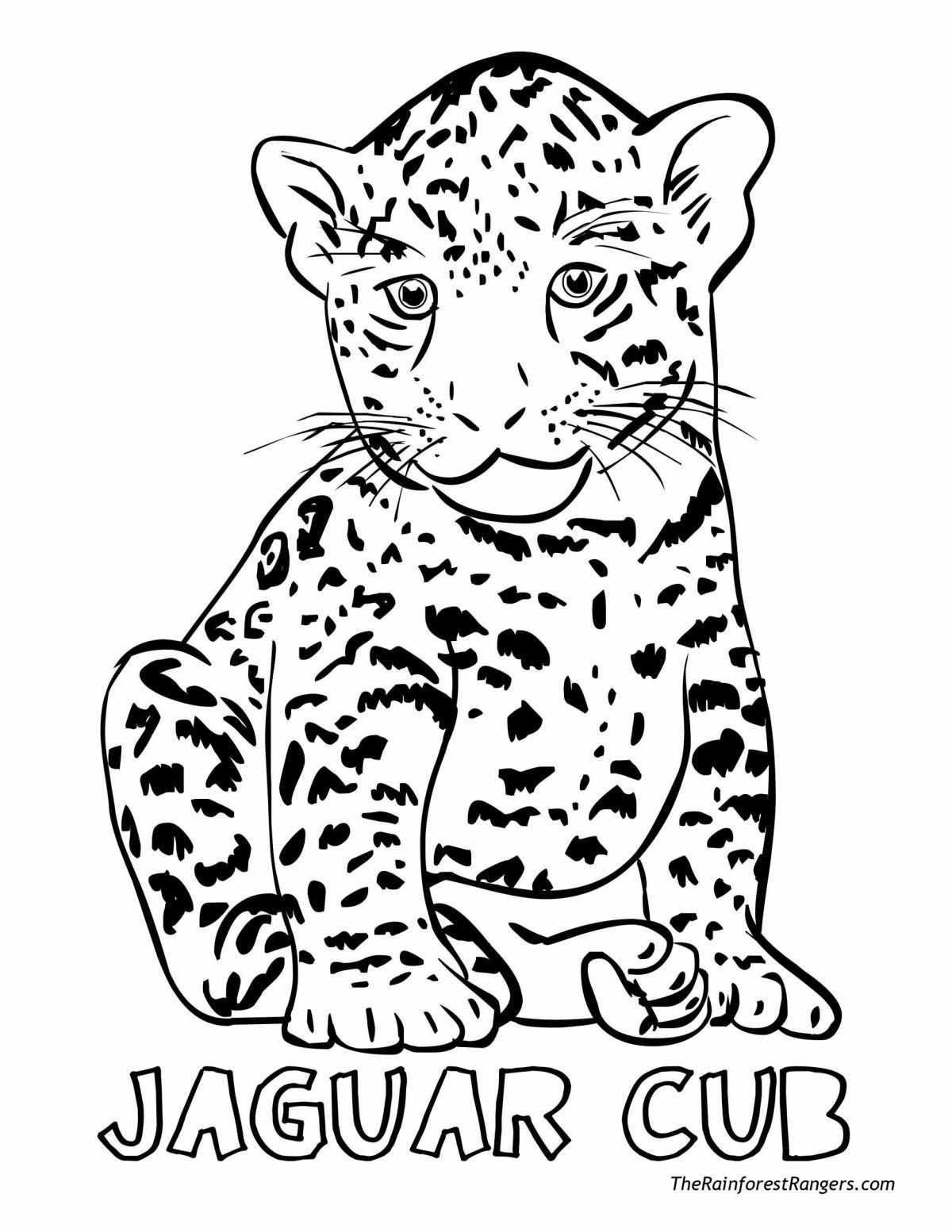 Coloring book fascinating jaguar