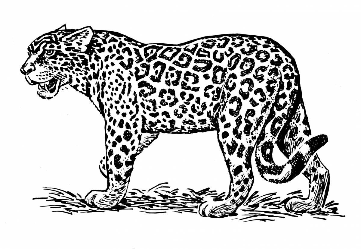 Jaguar #3