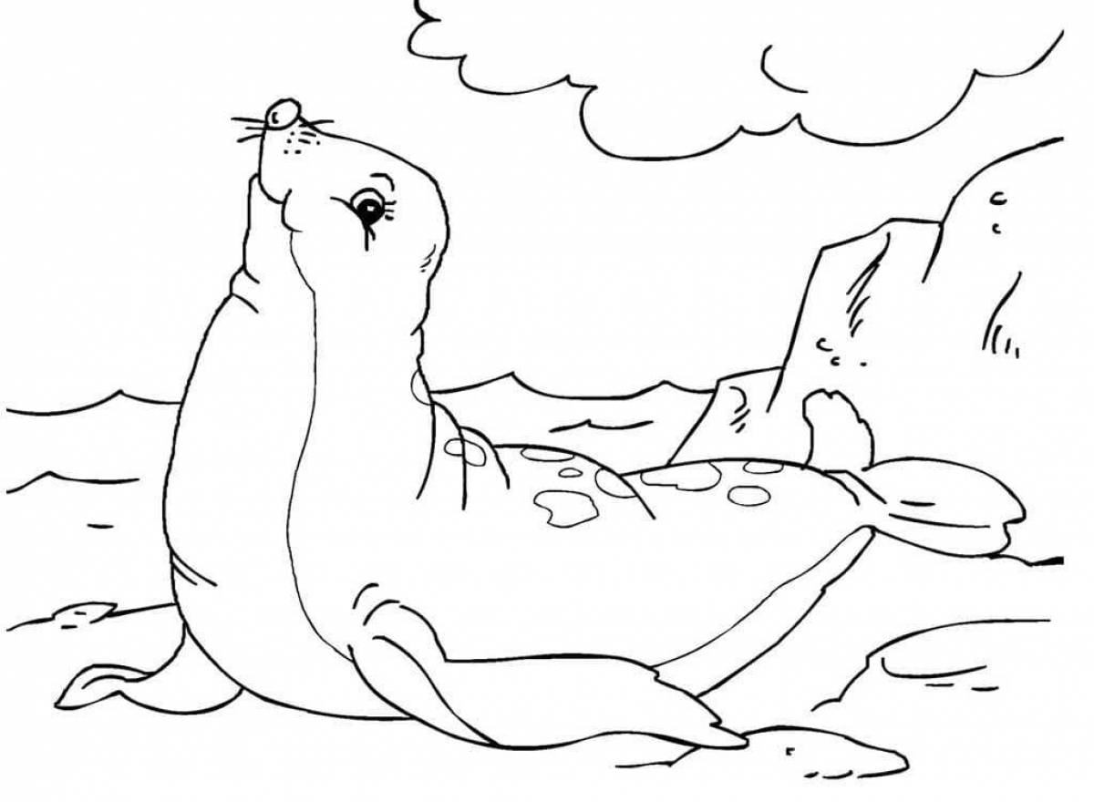 Раскраска «яркий тюлень» для детей