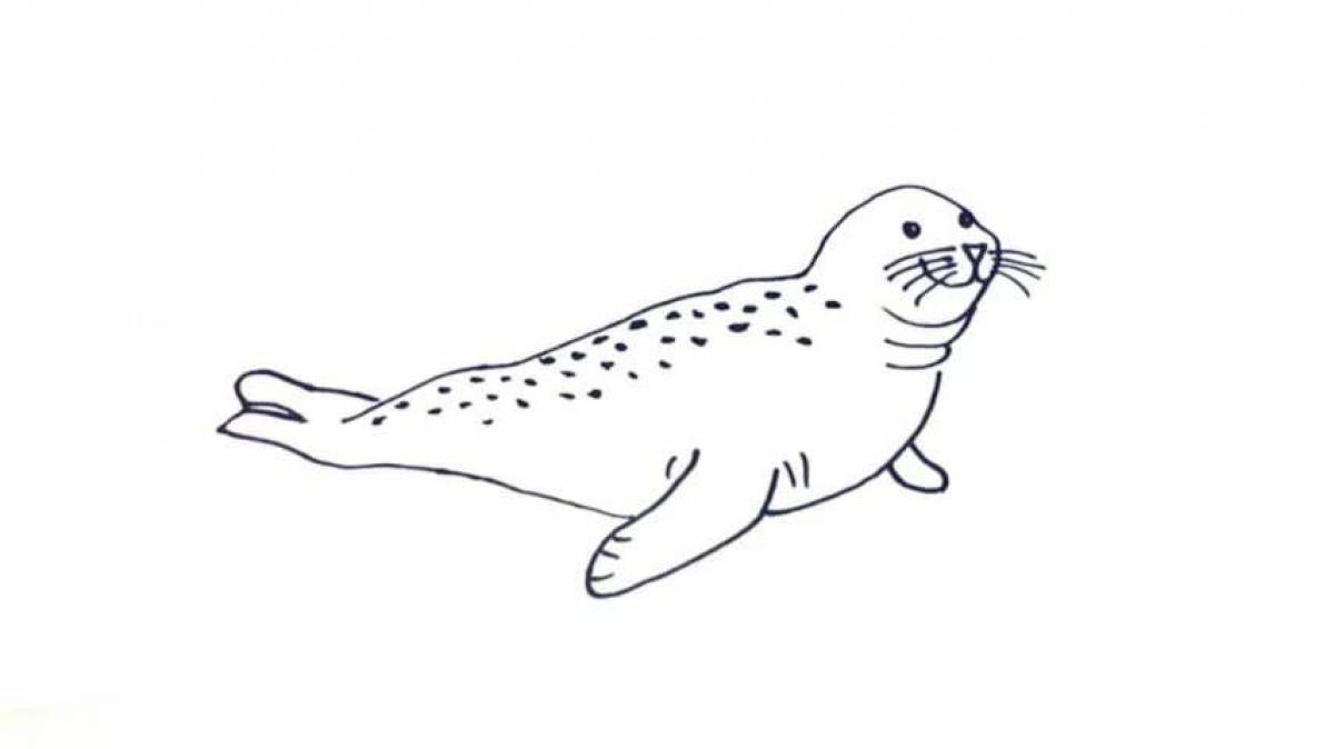Funny seal coloring book for kids