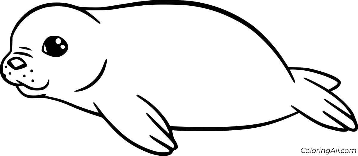 Seal for kids #15