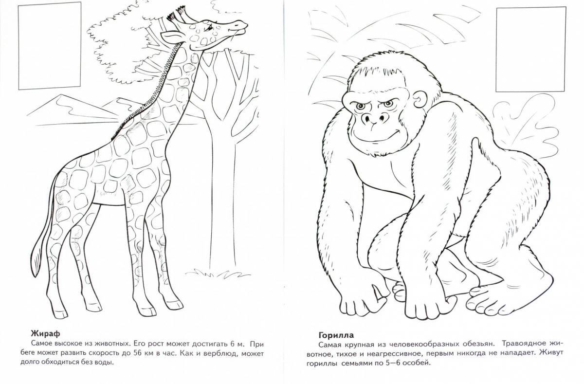 Animated coloring pages animals of hot countries for preschoolers