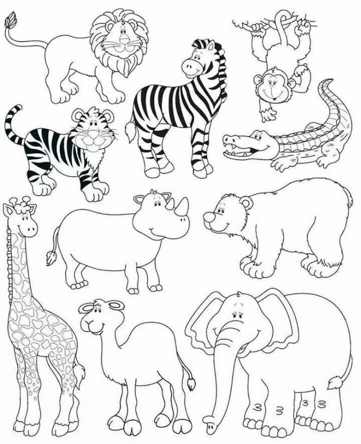 Cute hot country animals coloring book for preschoolers
