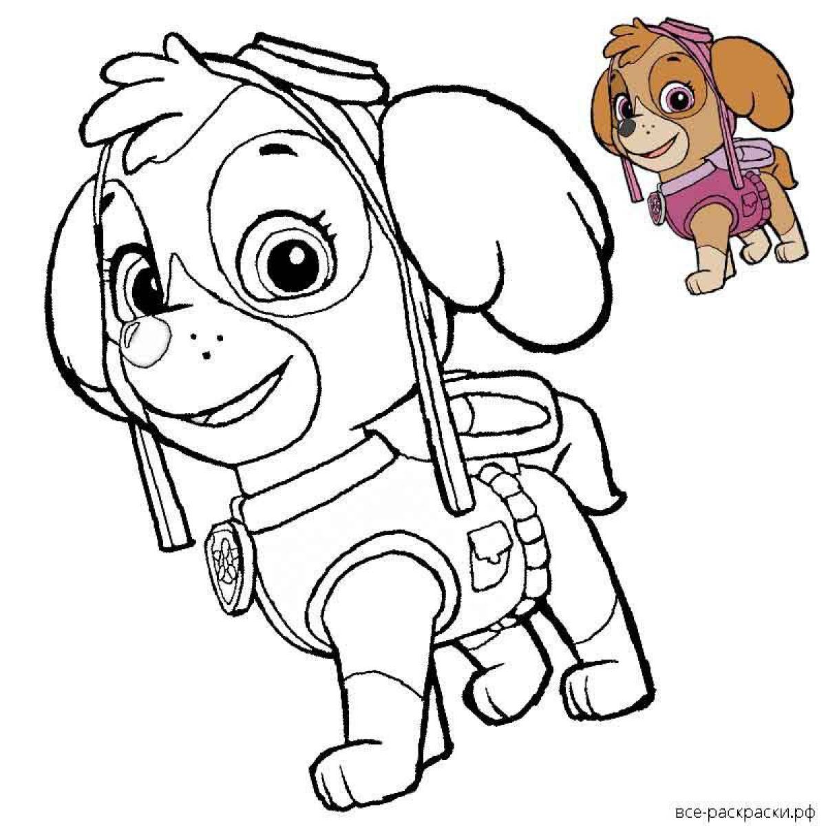 Colorful Paw Patrol coloring book for girls