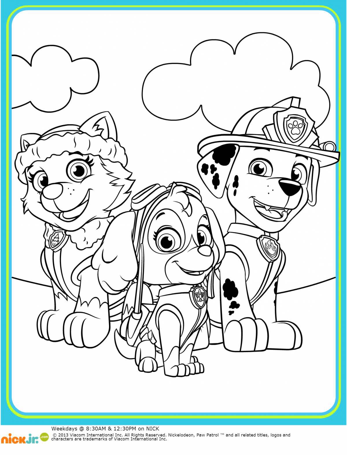 Adorable Paw Patrol coloring book for girls