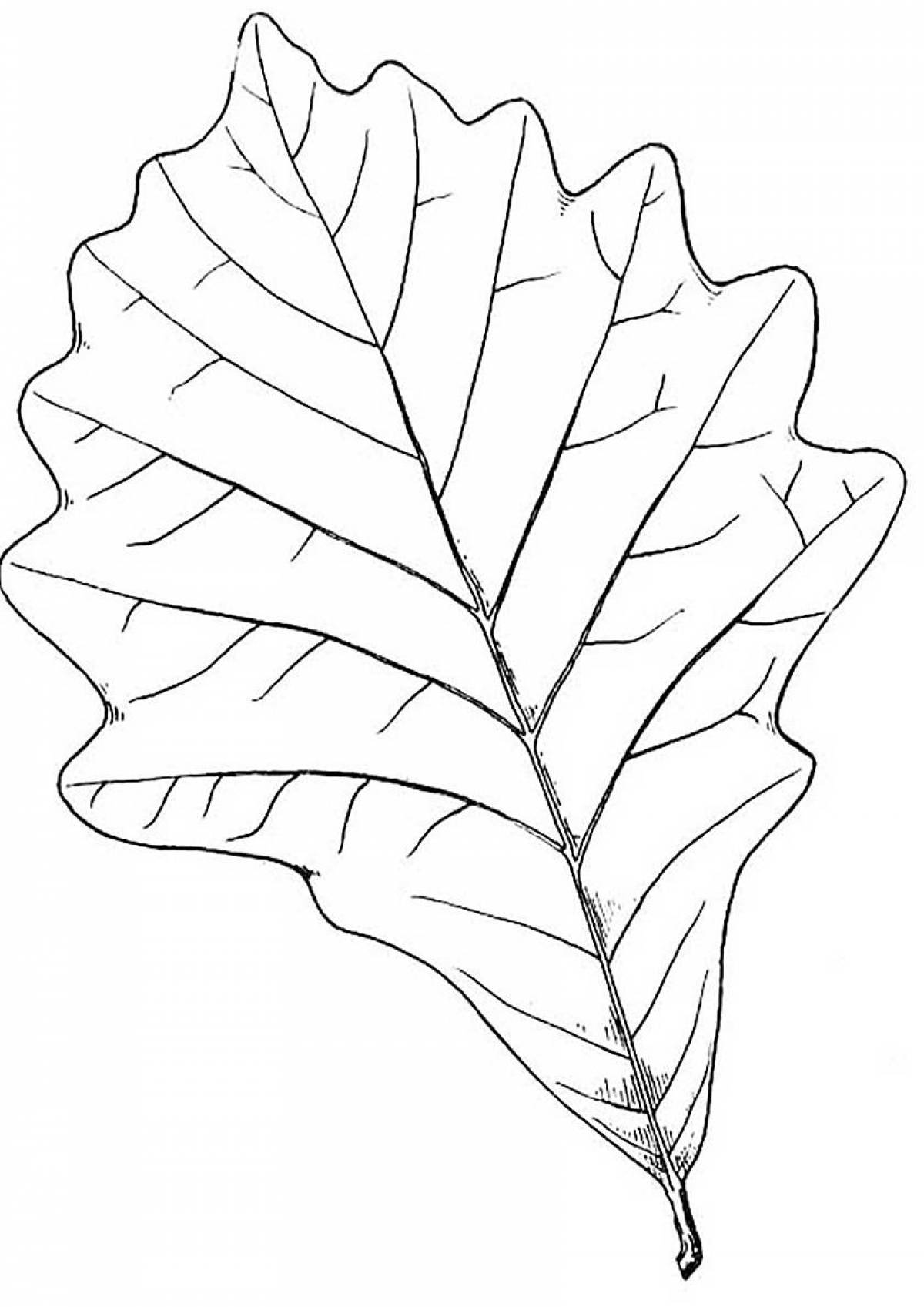 Colorful leaflets coloring pages