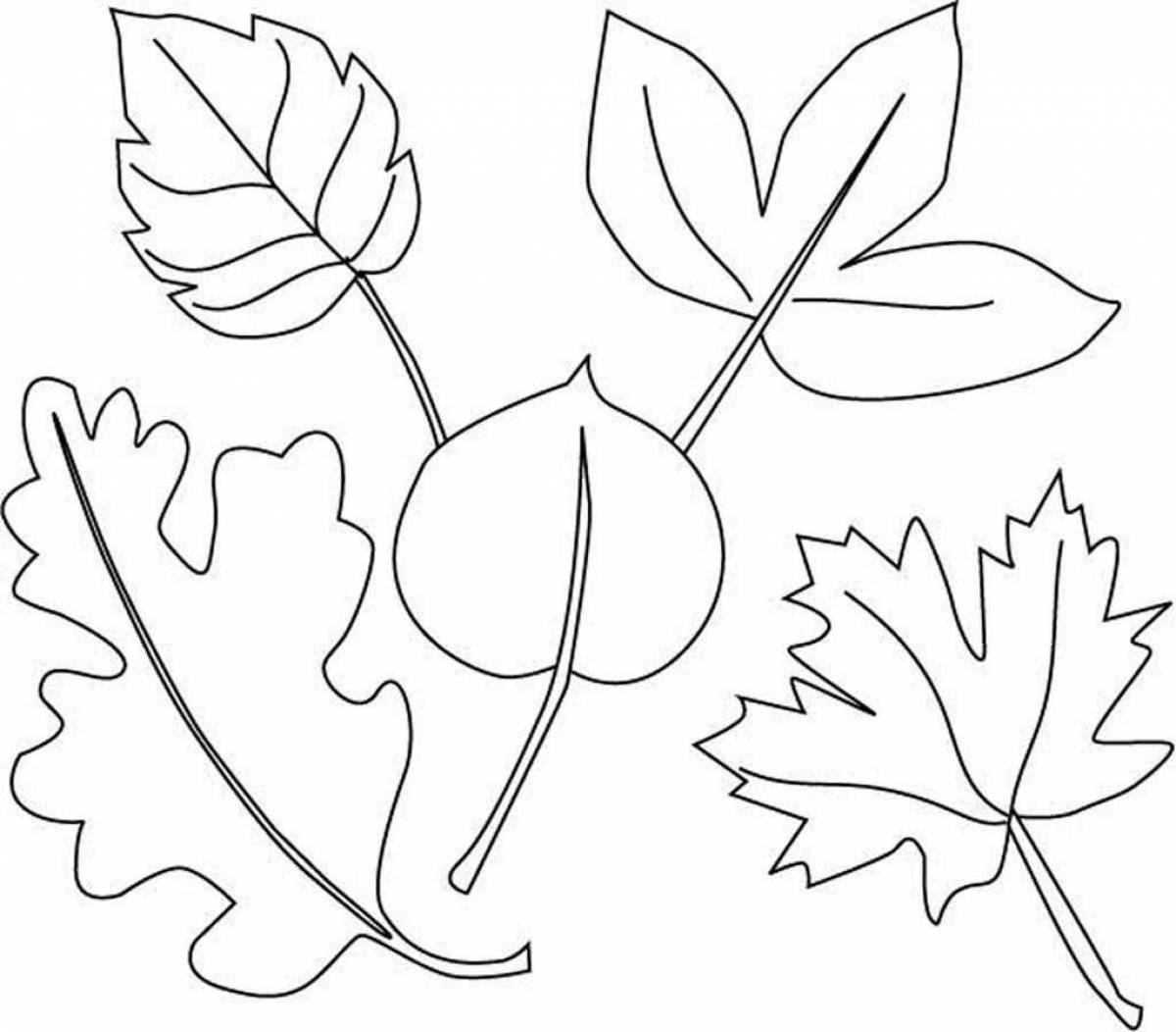 Color themed coloring pages