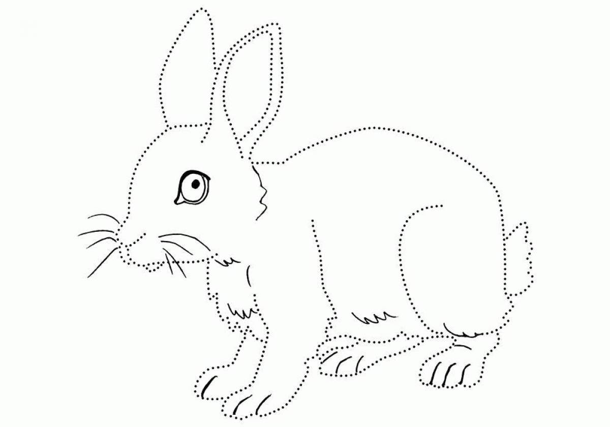 Funny rabbit coloring book for 3-4 year olds