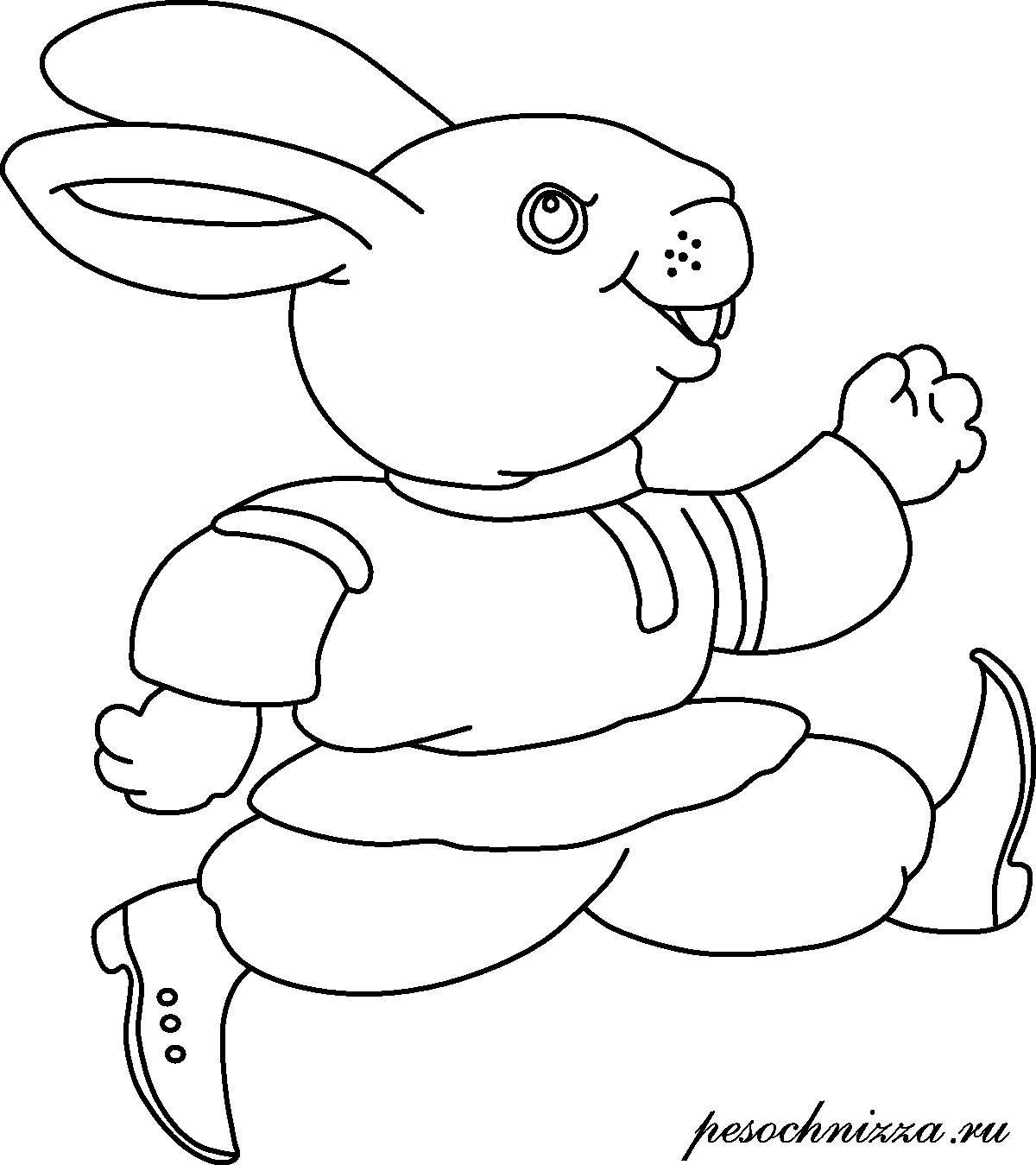 Изысканная раскраска зайца для детей 3-4 лет