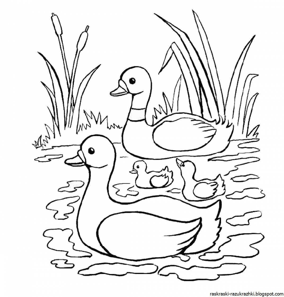 Holiday coloring duckling for kids