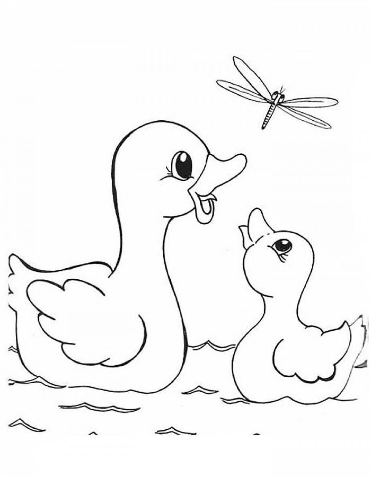 Glorious duckling coloring for children