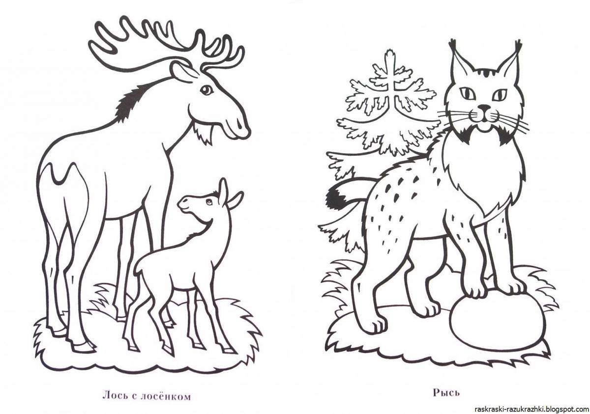 Coloring pages animals for children 5-7 years old