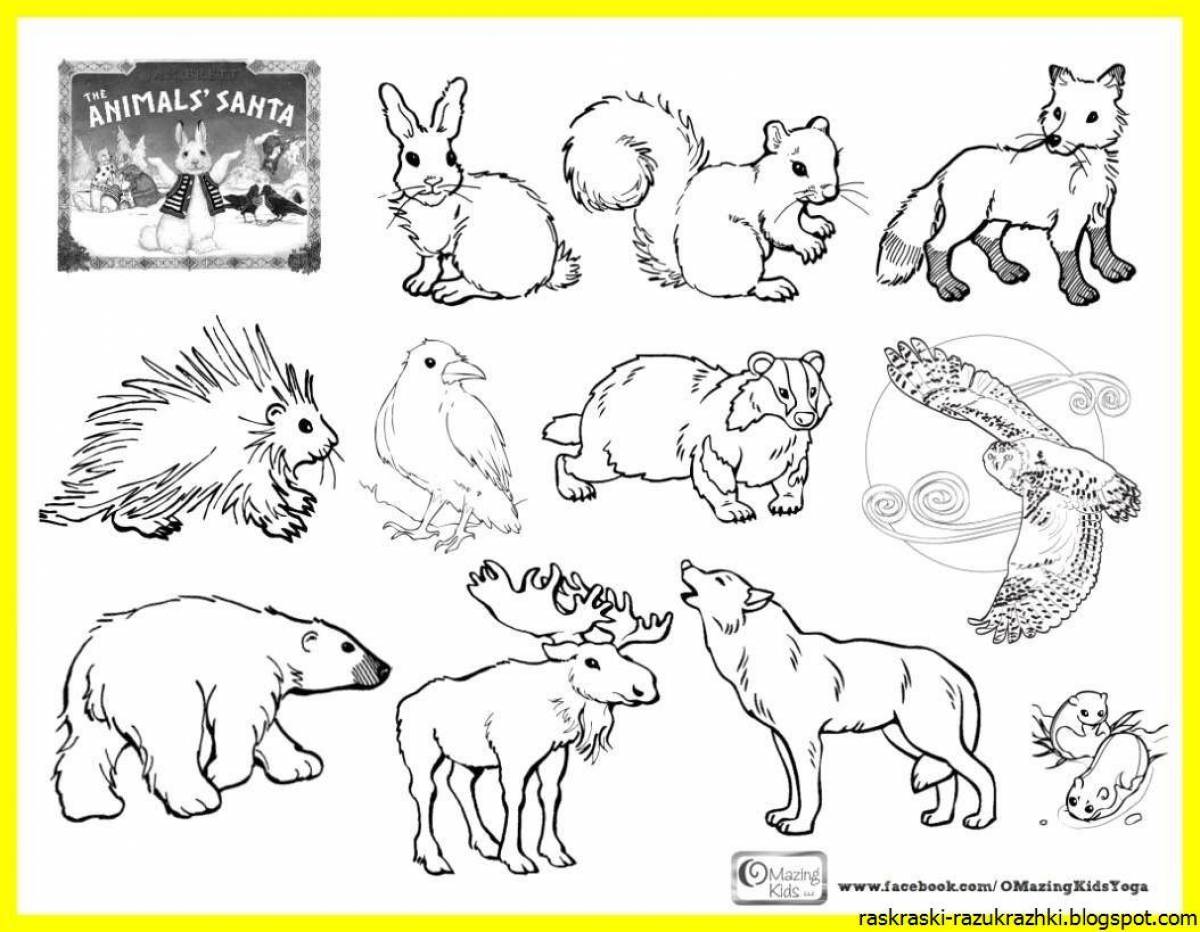 Colourful animal coloring book for children 5-7 years old