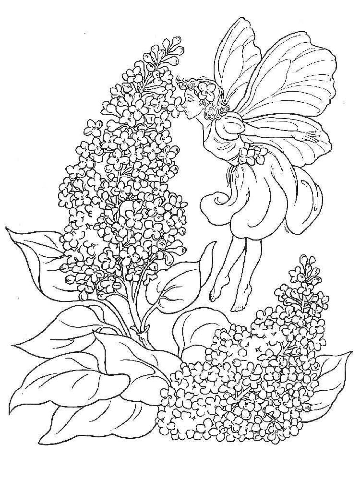 Lilac #8