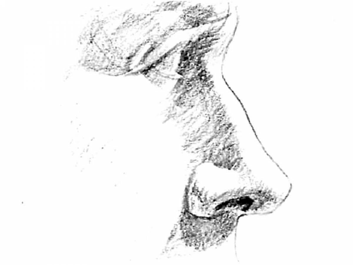 Раскраска нос человека