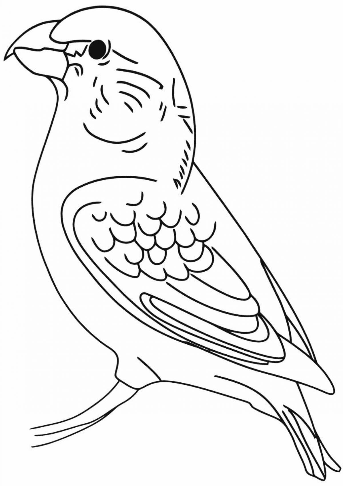 Bright crossbill coloring page