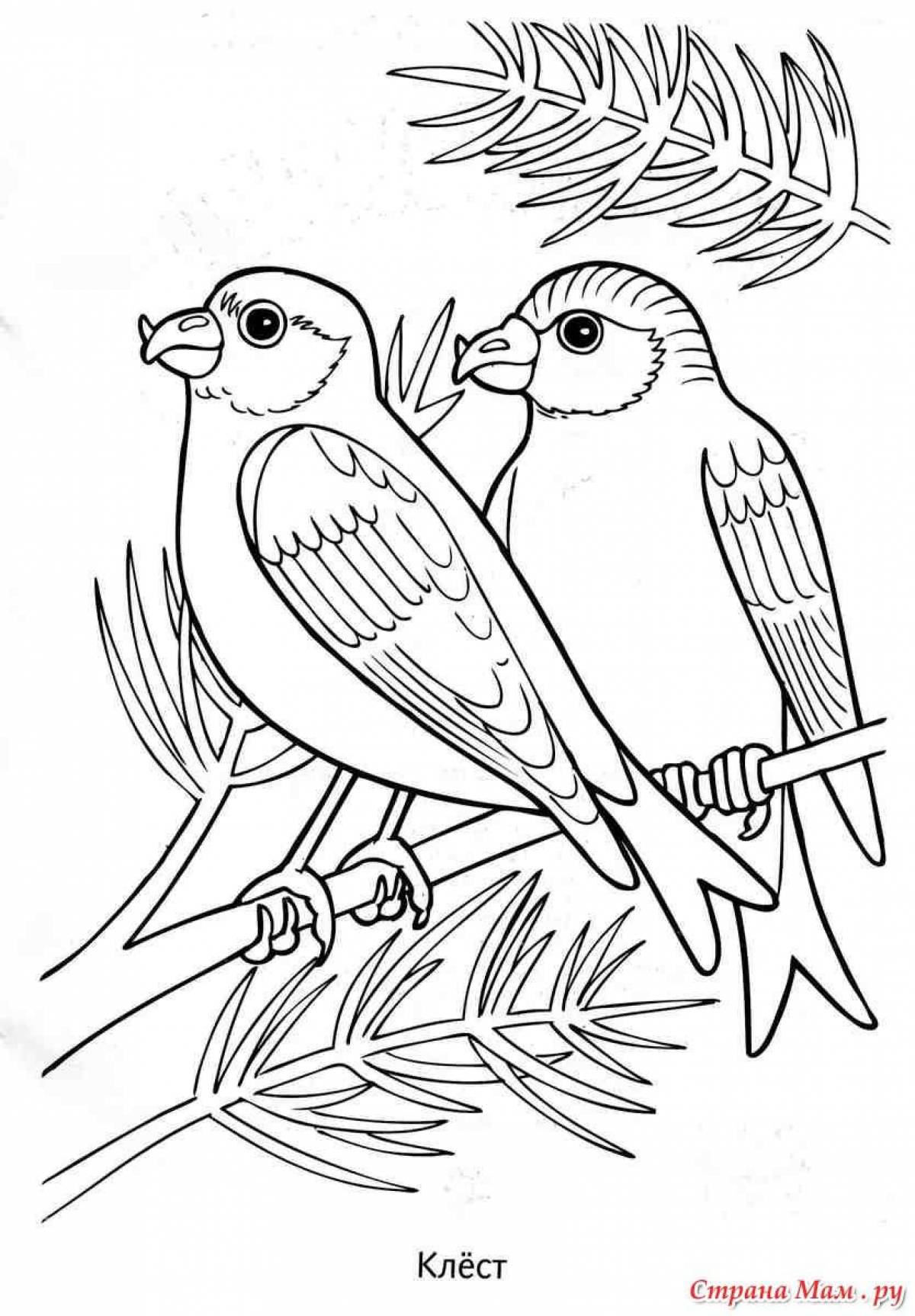 Festive crossbill coloring page