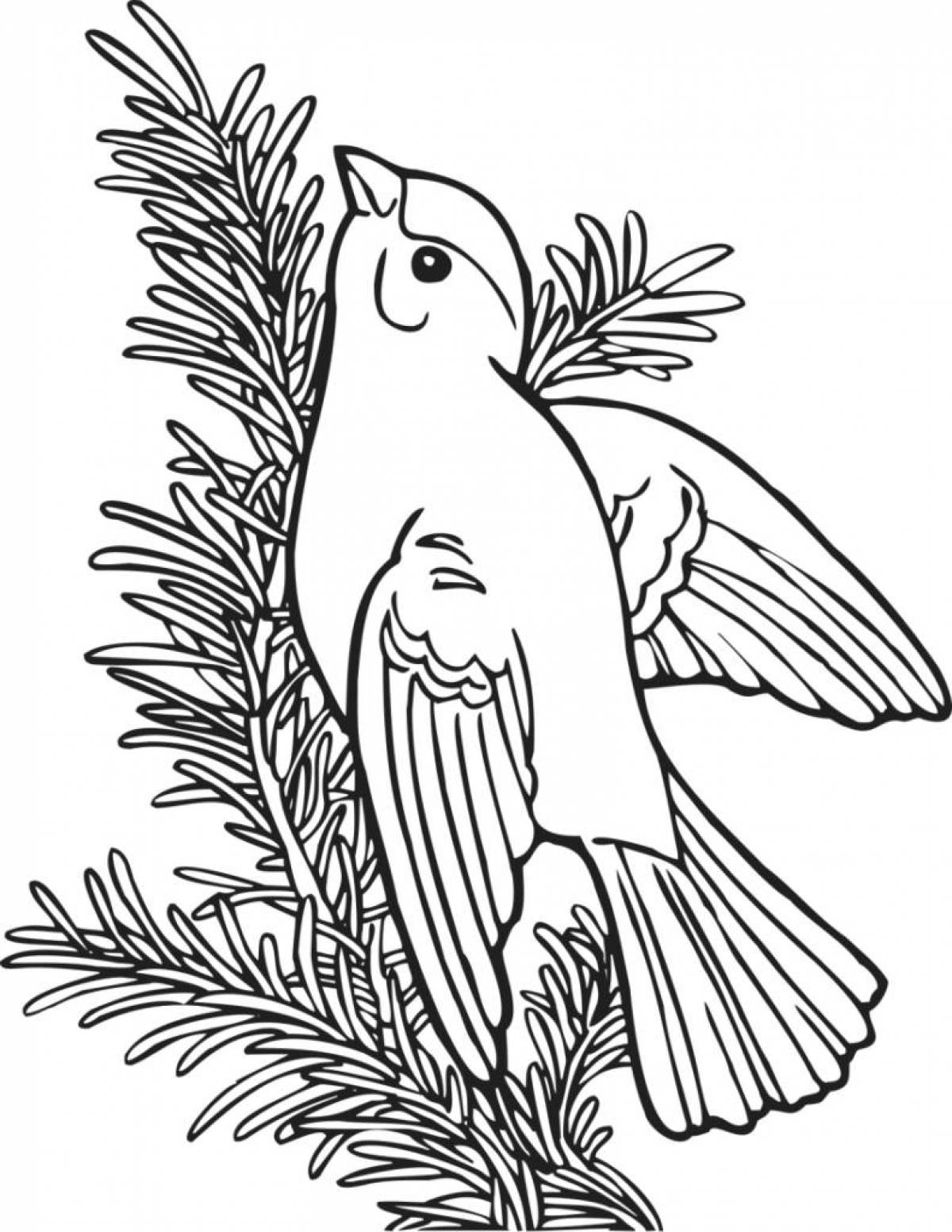 Charming crossbill coloring page