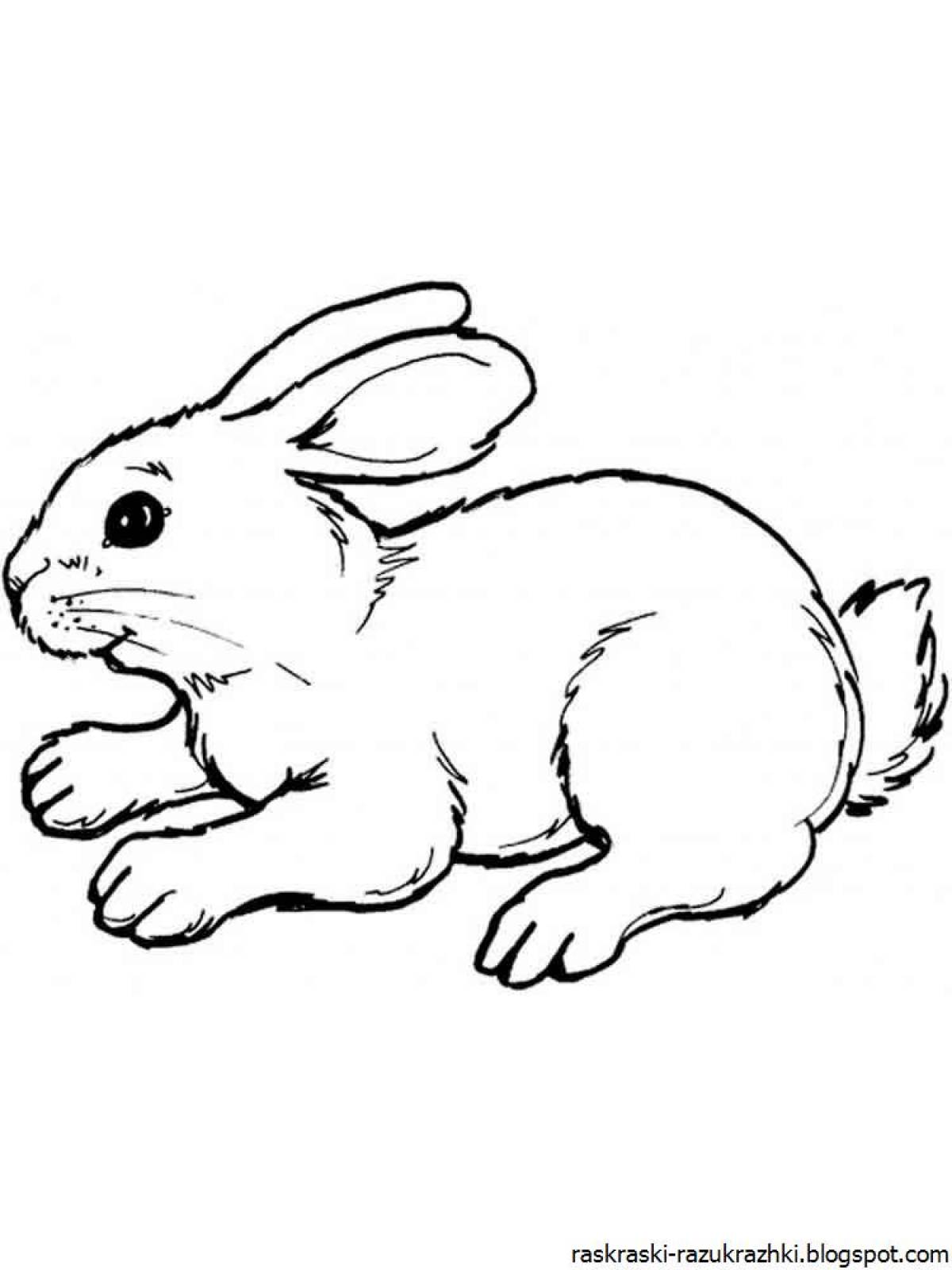 Colorful bunny coloring picture