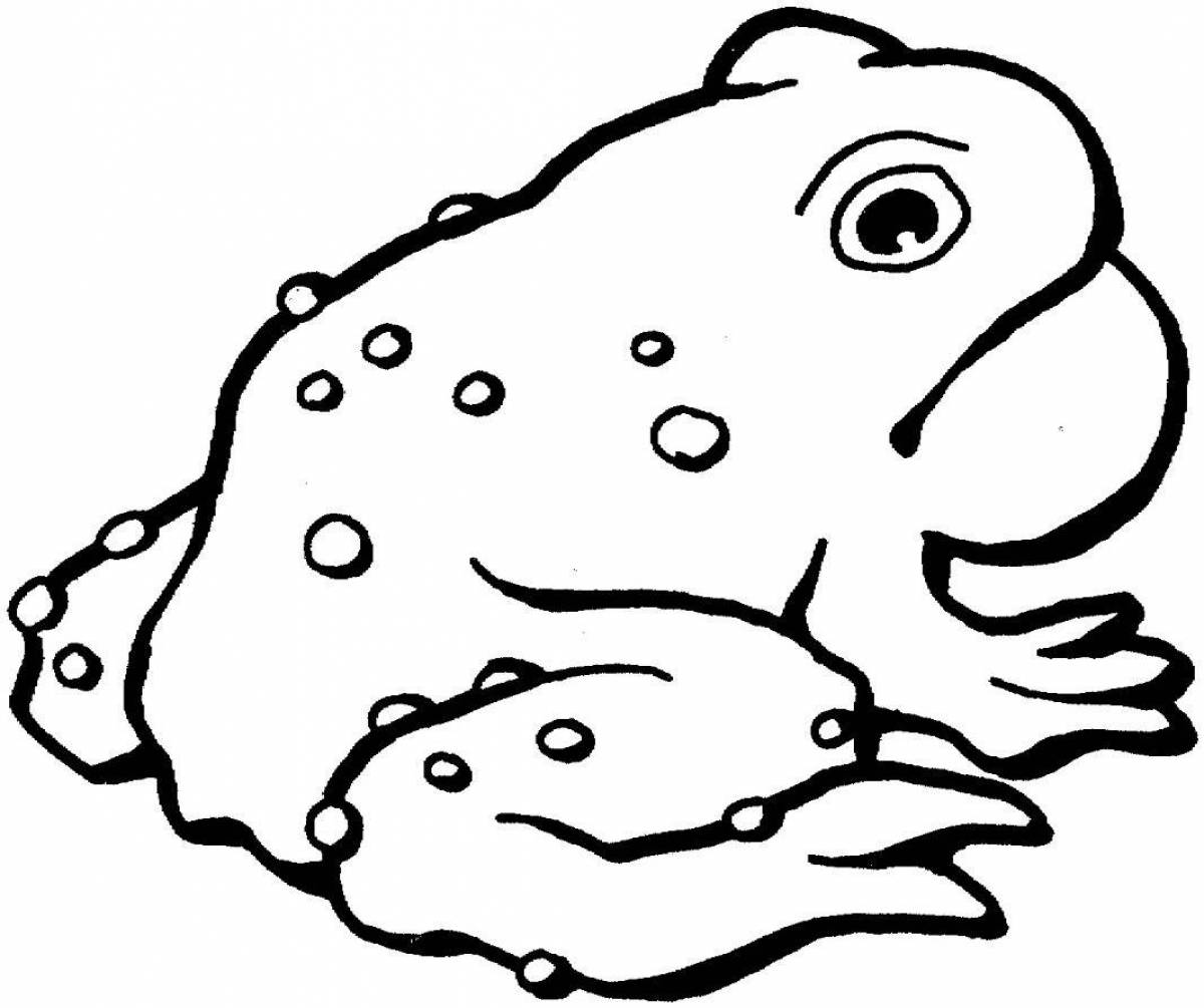 Coloring playful toad