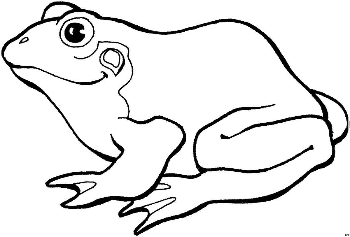Sweet toad coloring page