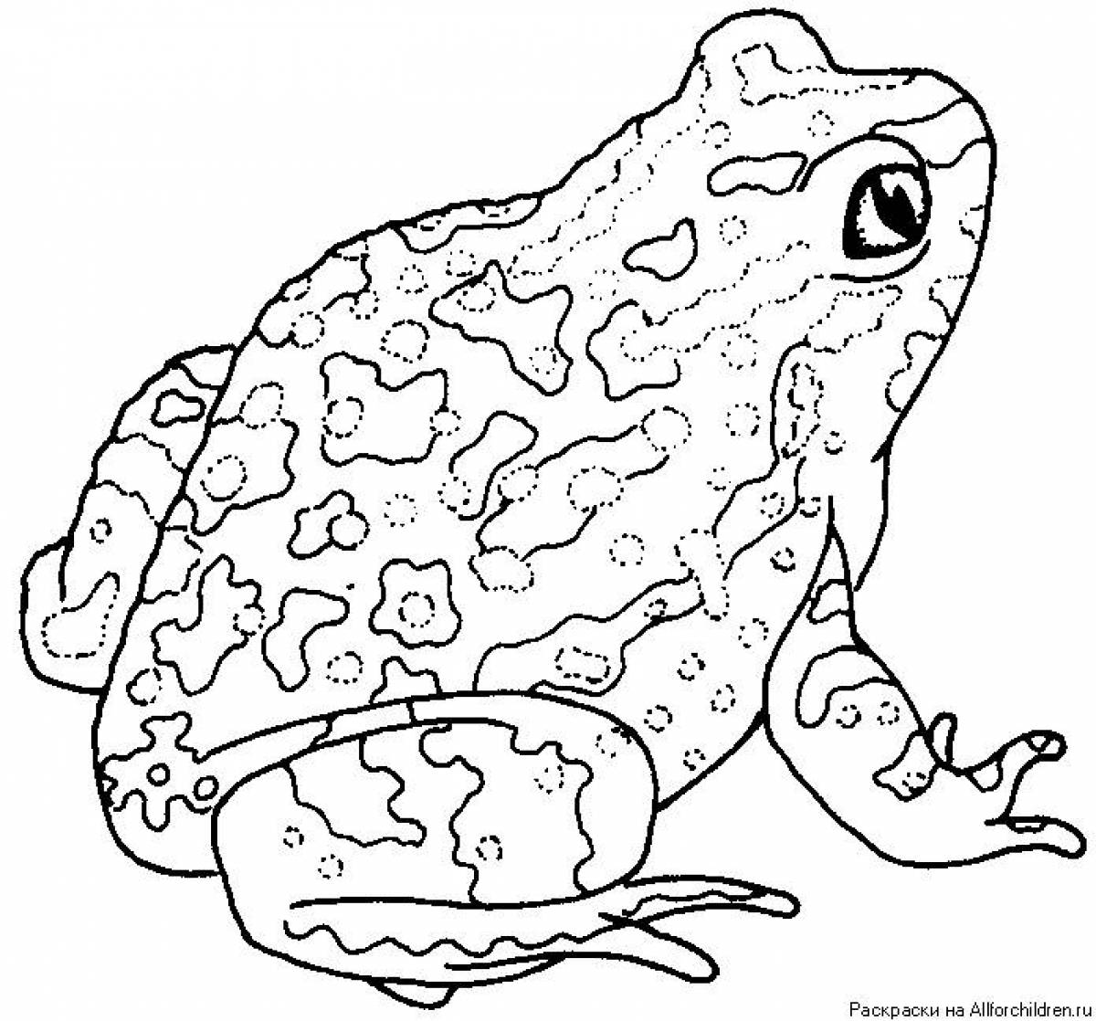 Раскраска милая жаба