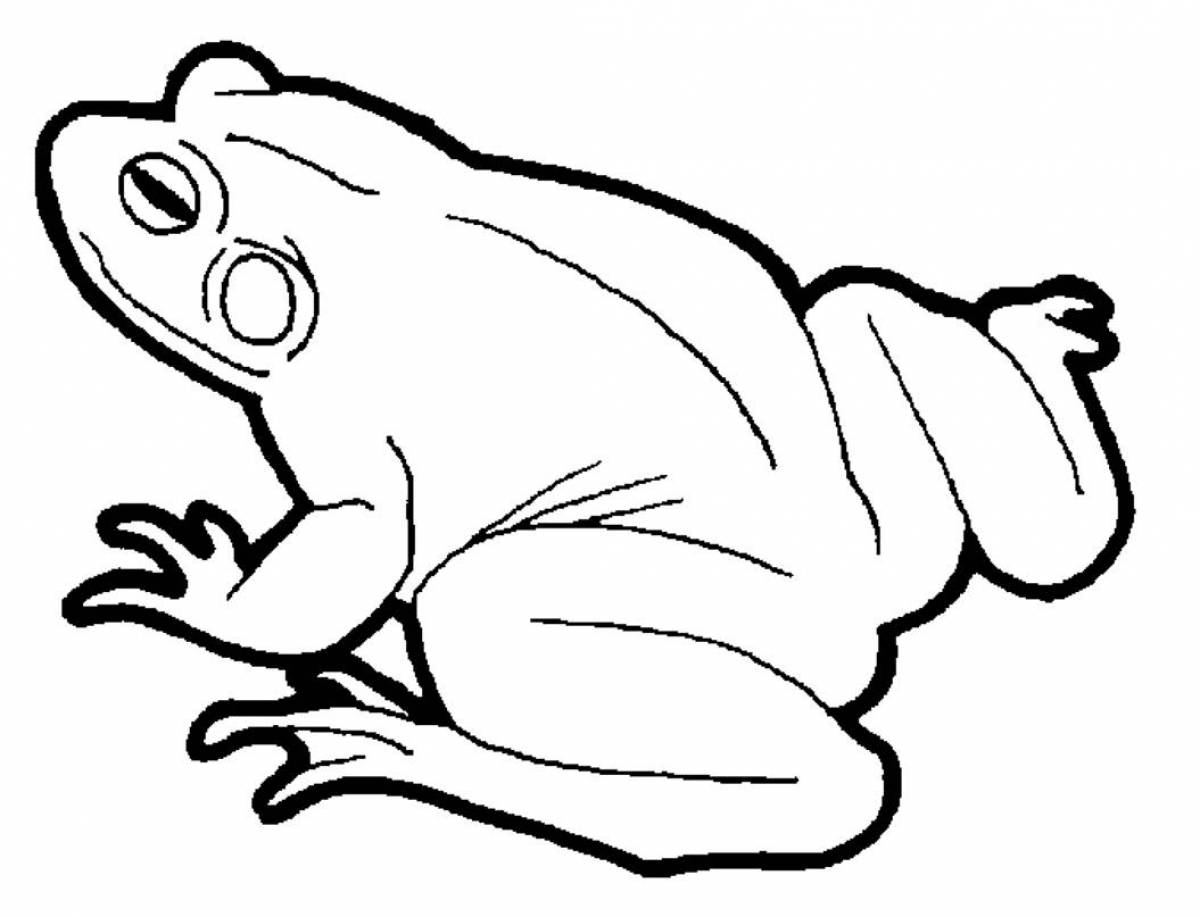 Magic toad coloring page