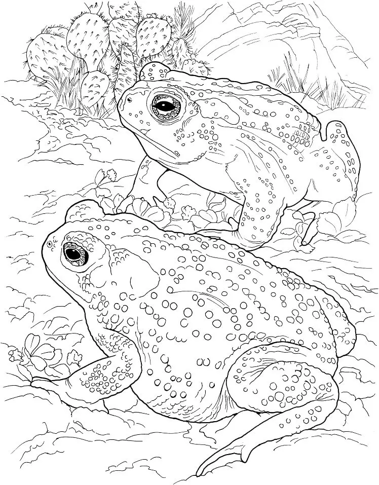 Glittering toad coloring page