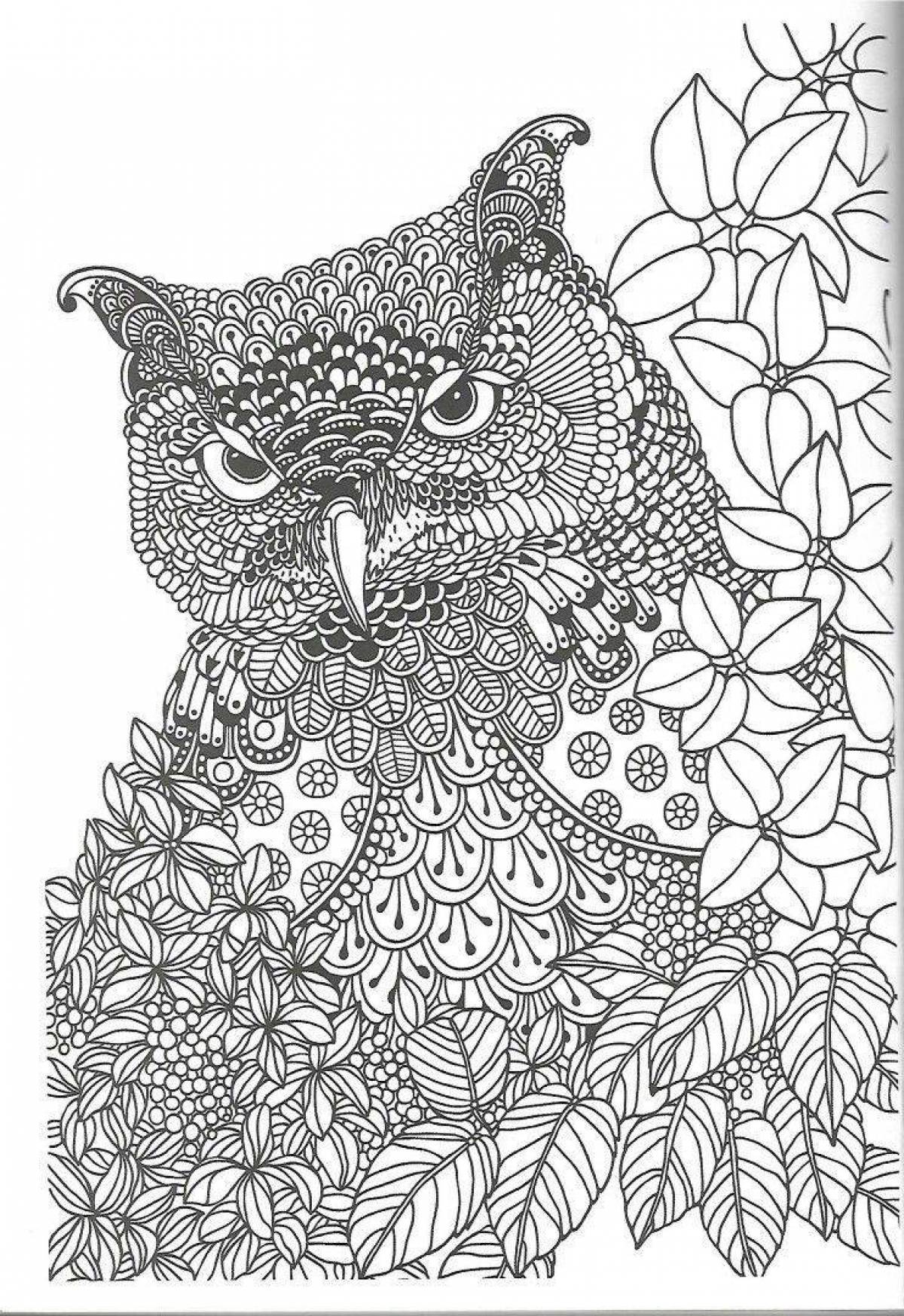 Majestic coloring owl antistress