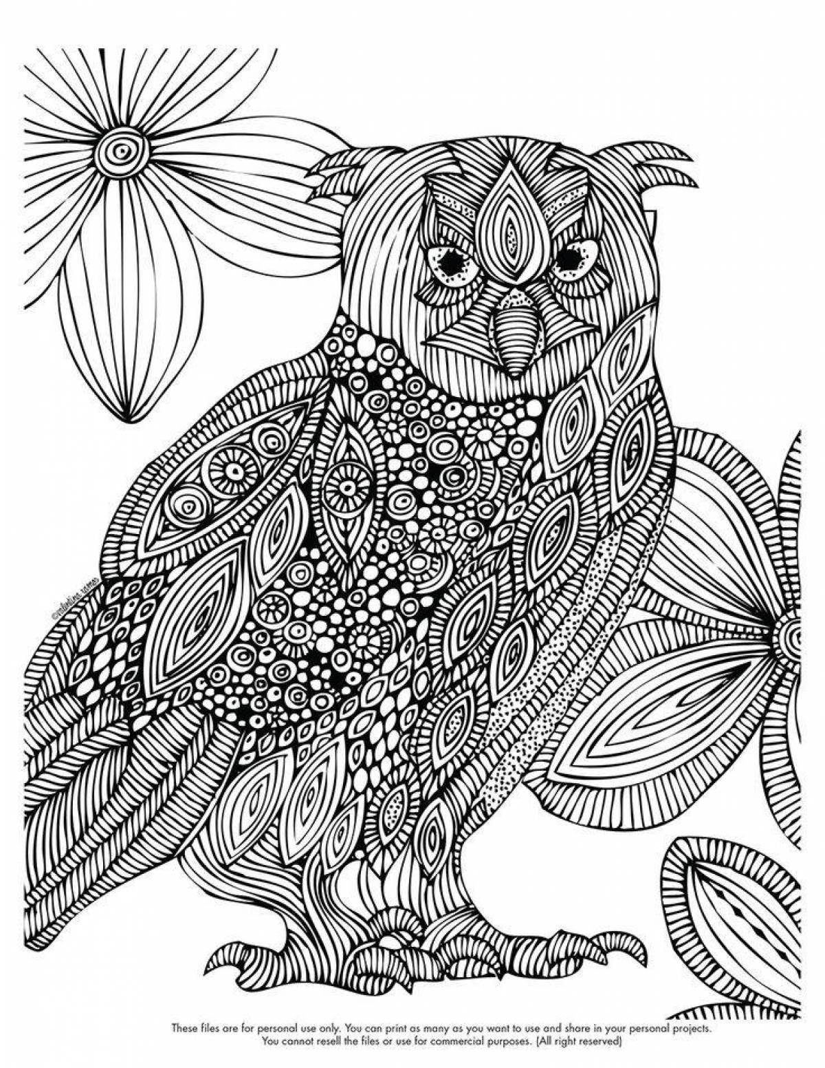 Charming coloring owl antistress