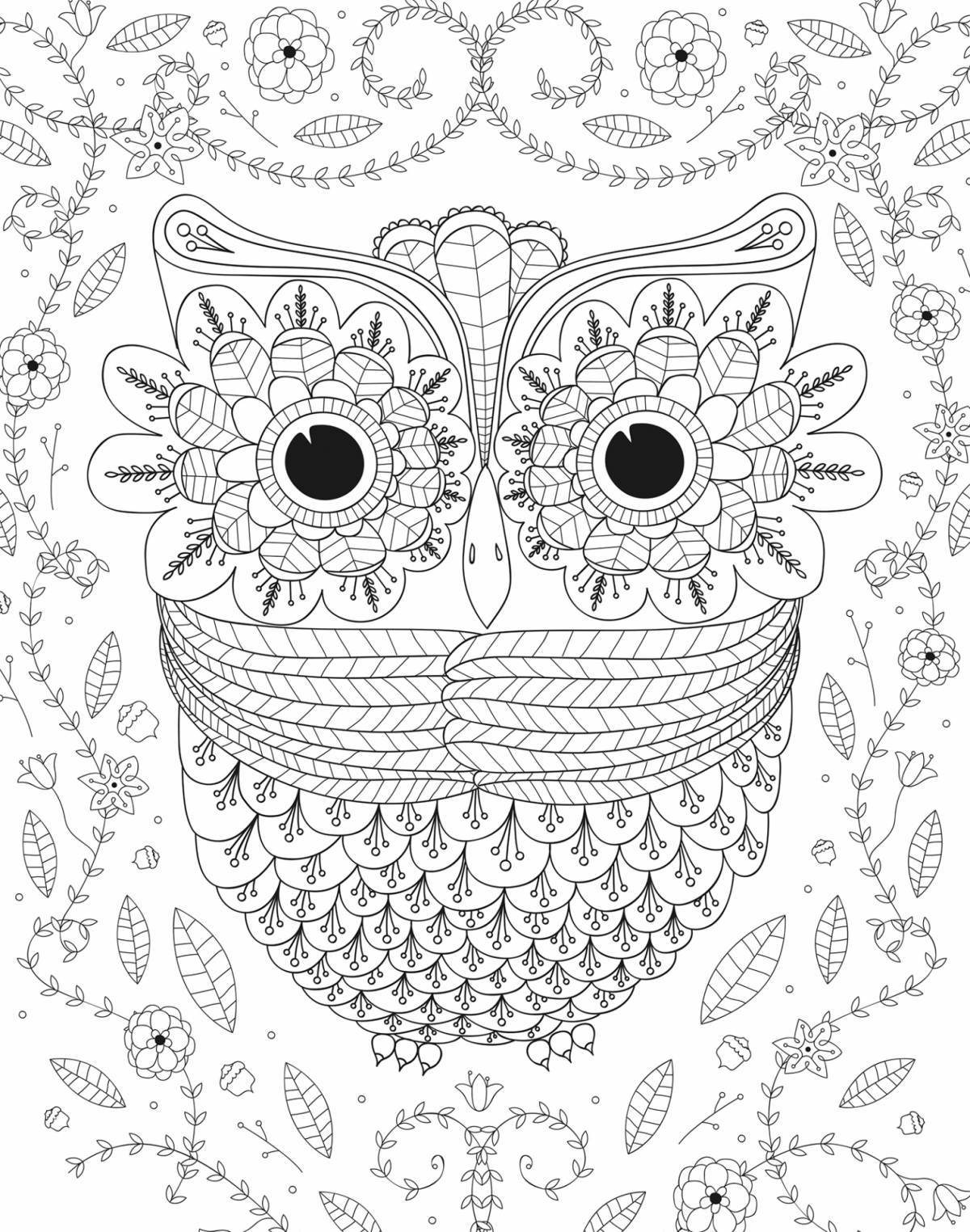Exquisite coloring owl antistress