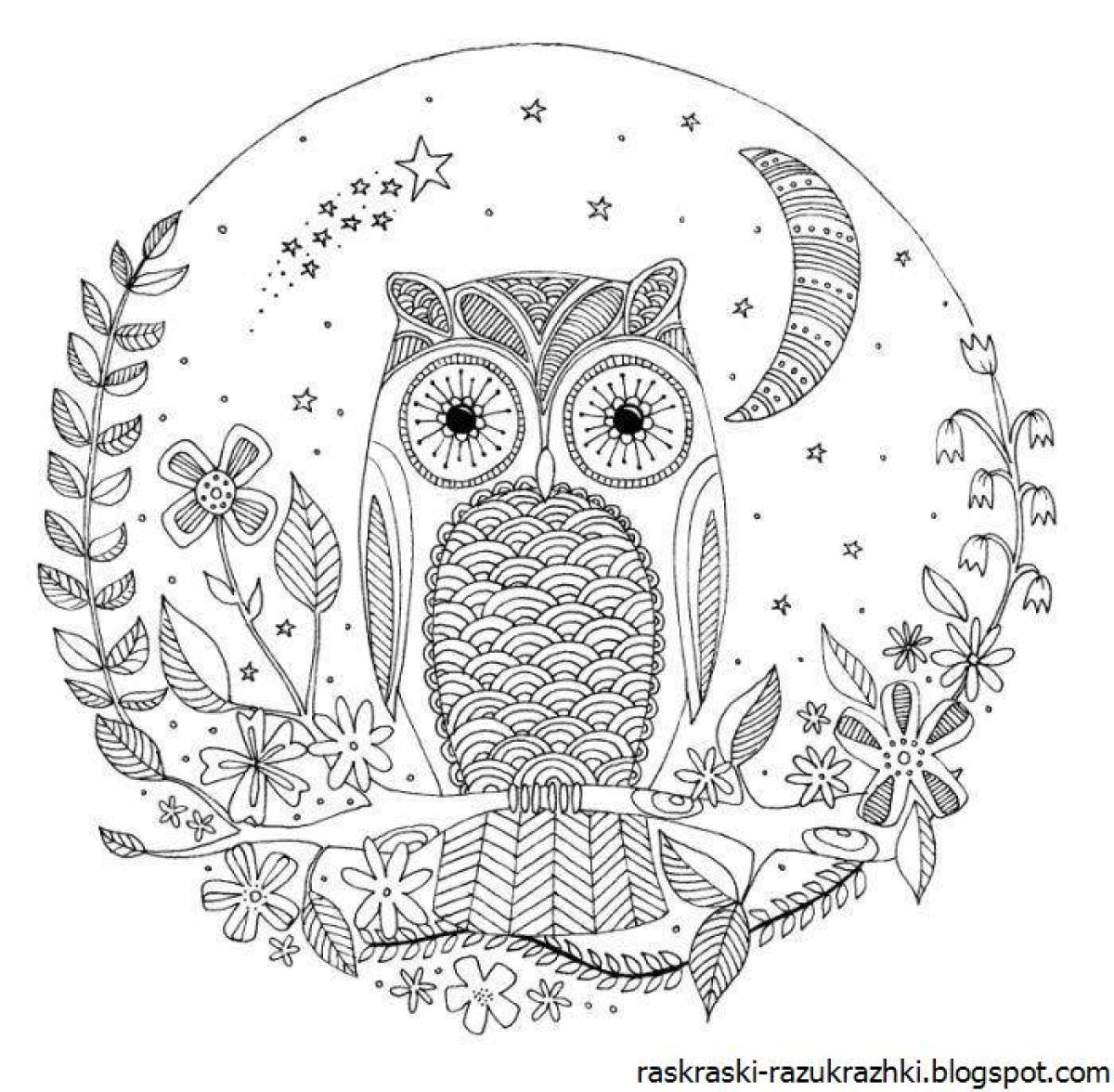 Delightful coloring owl antistress