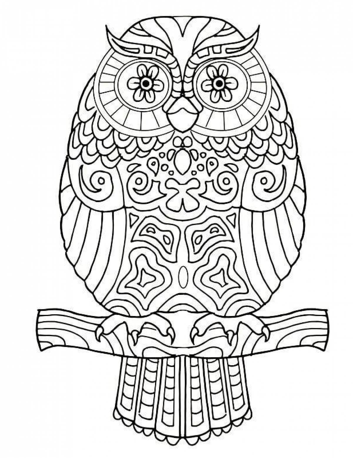 Alluring coloring owl antistress