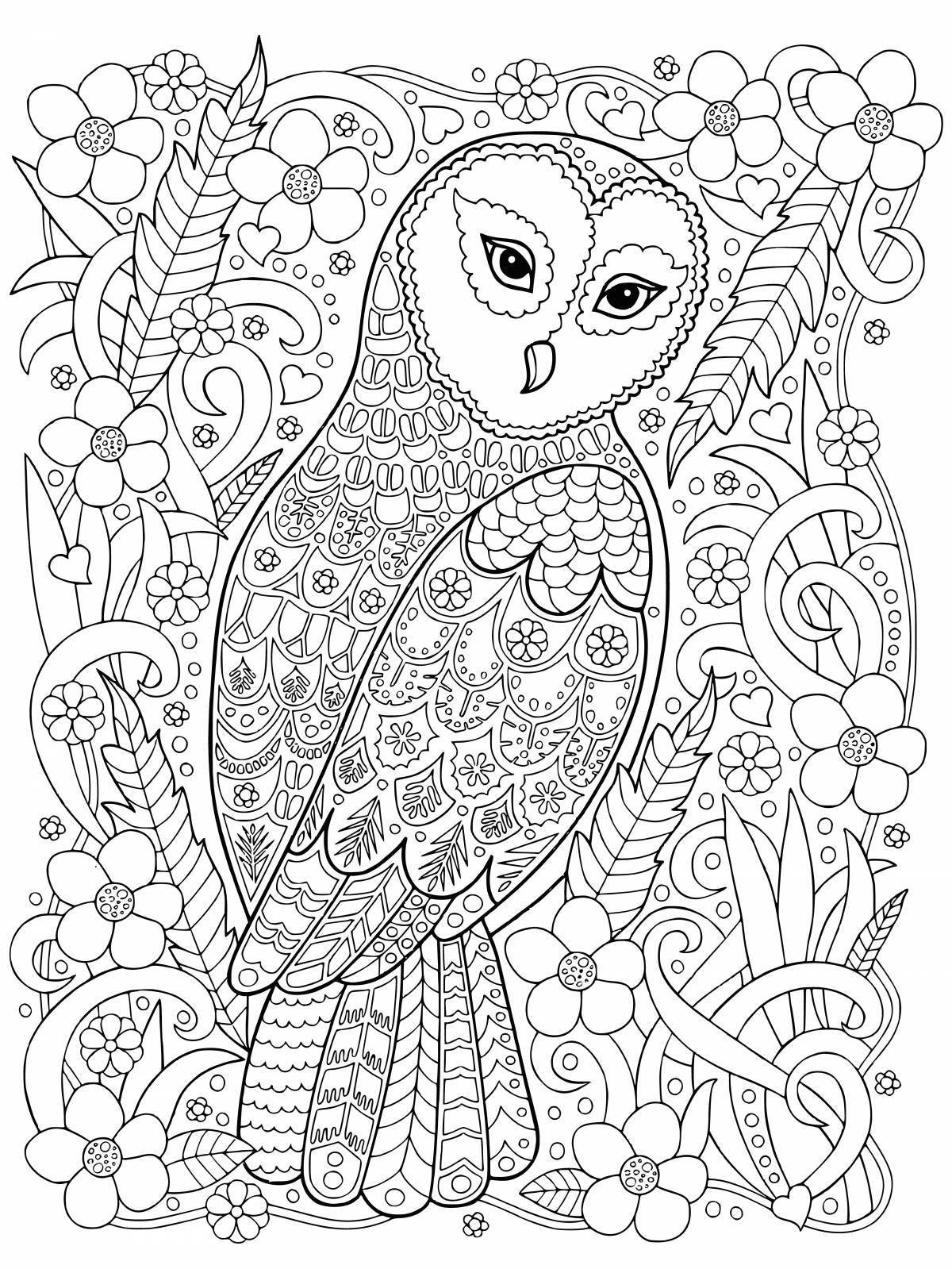 Glorious coloring owl antistress