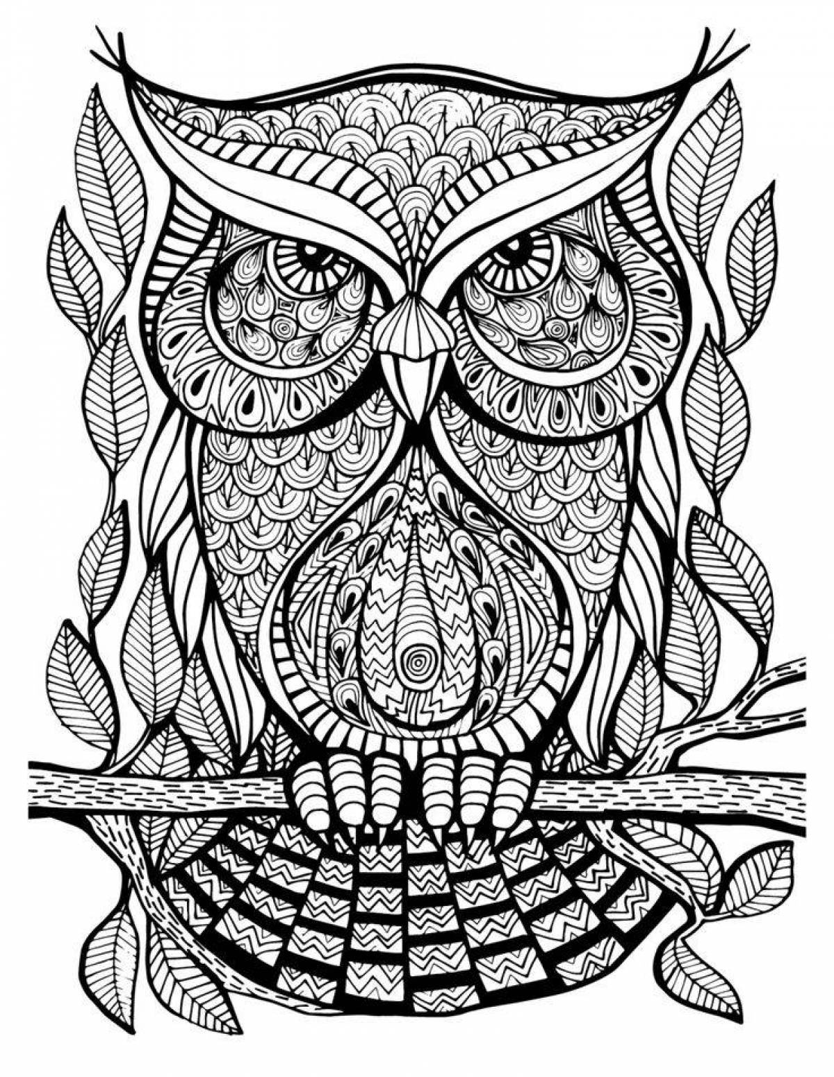 Cute owl antistress coloring book
