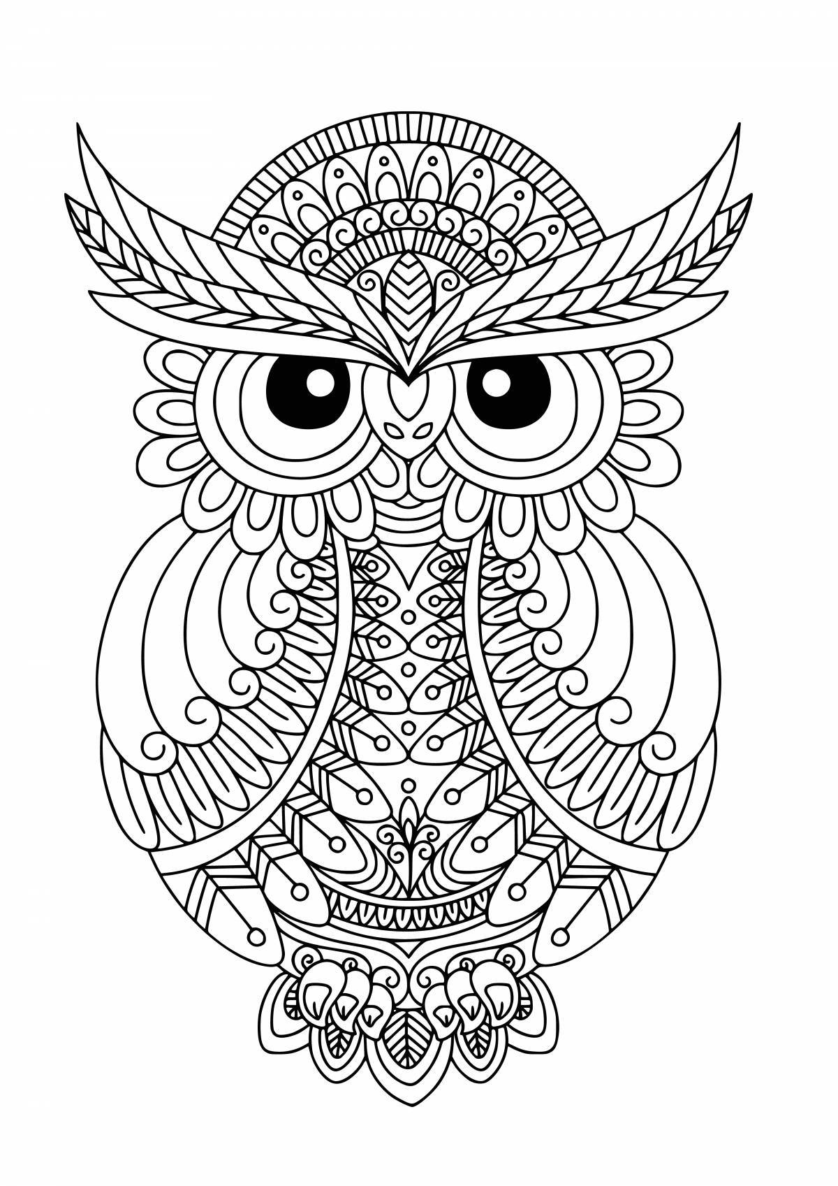Bright coloring owl antistress