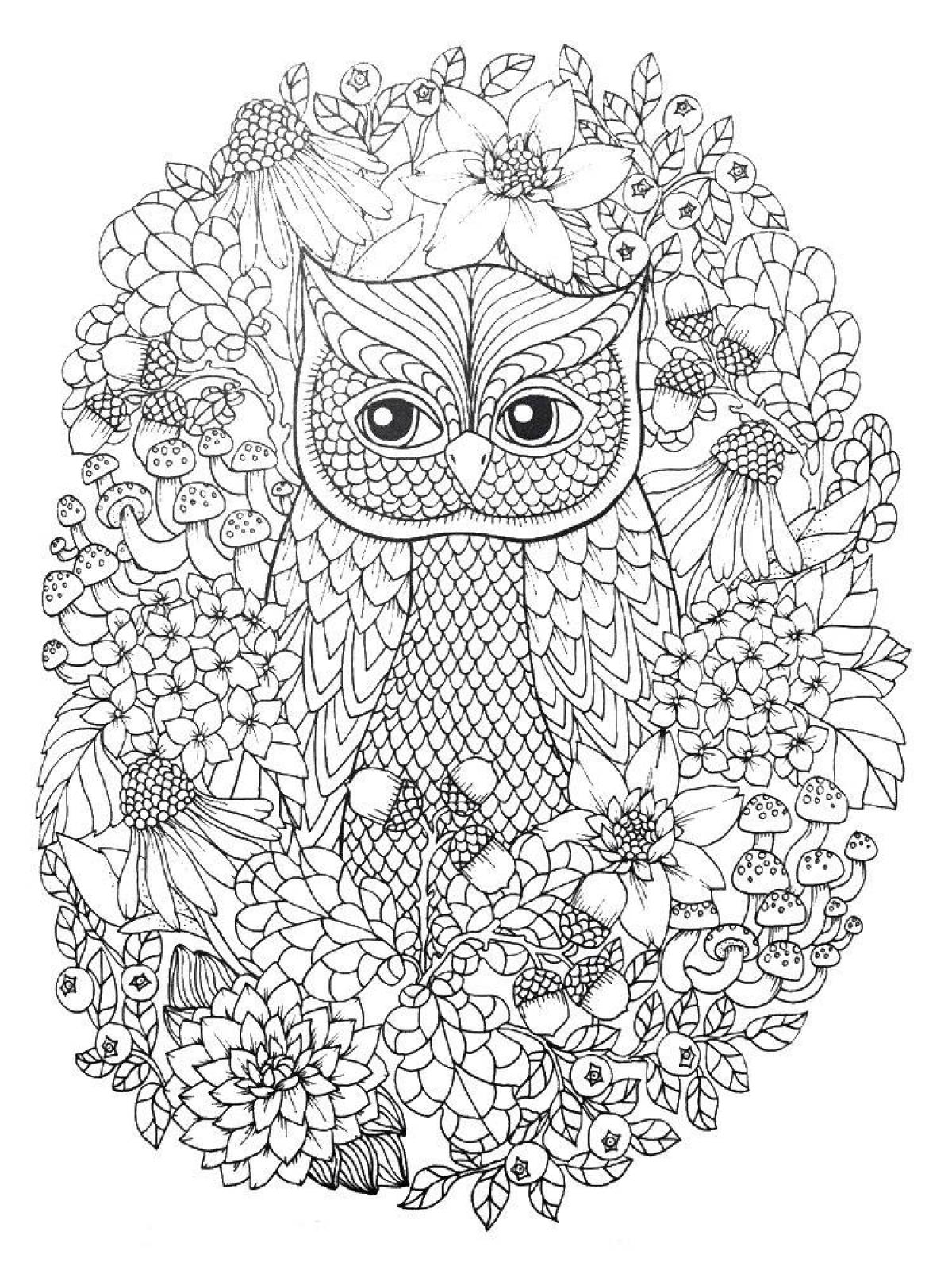 Glitter coloring owl antistress