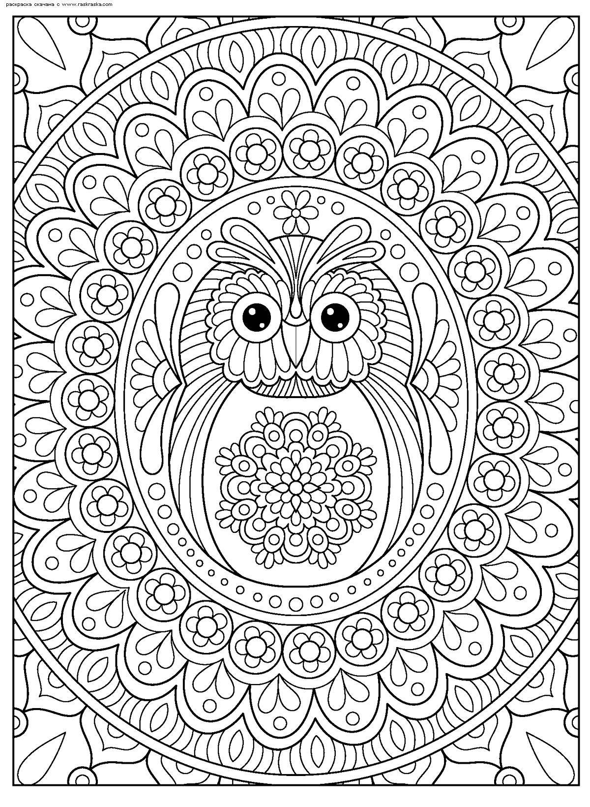 Colourful coloring owl antistress