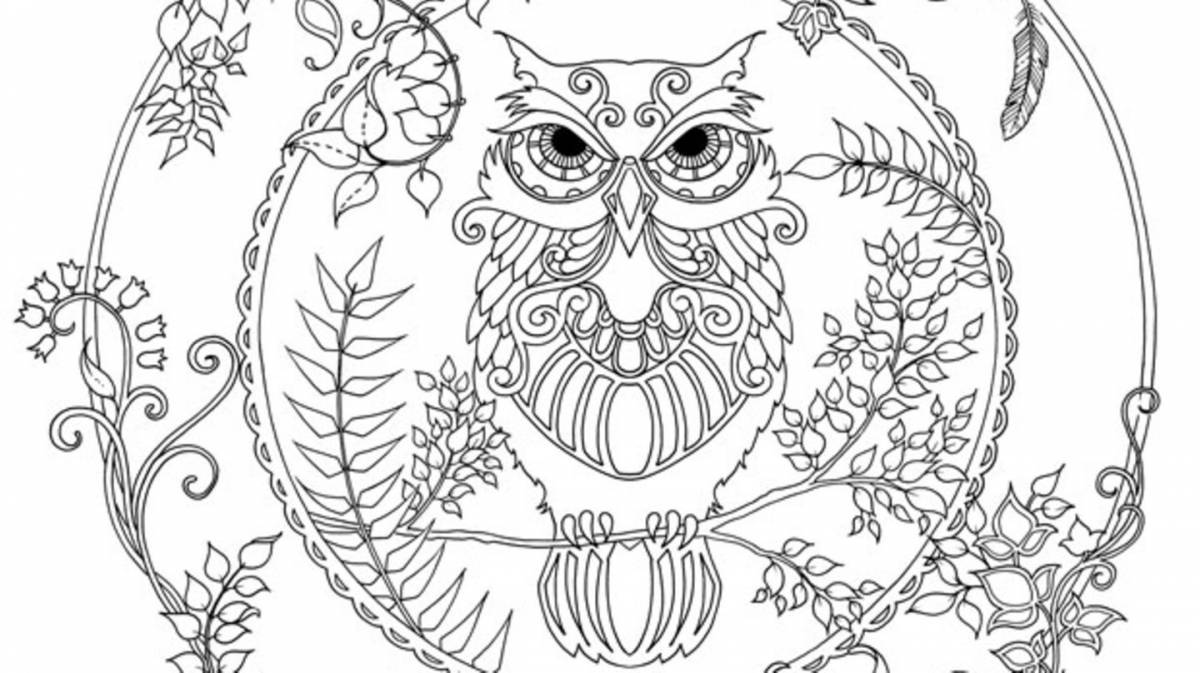 Joyful coloring owl antistress