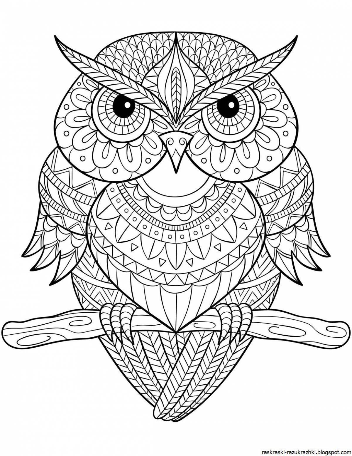 Serene coloring owl antistress